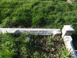 image of grave number 846251